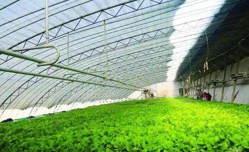 西吉2个!宁夏认定一批标准化生产基地,全名单来了!
