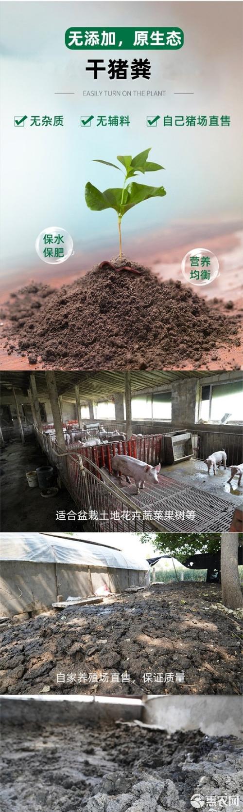 福建有机肥厂干猪粪有机肥蔬菜肥料农作物肥料腐熟农家肥干猪粪