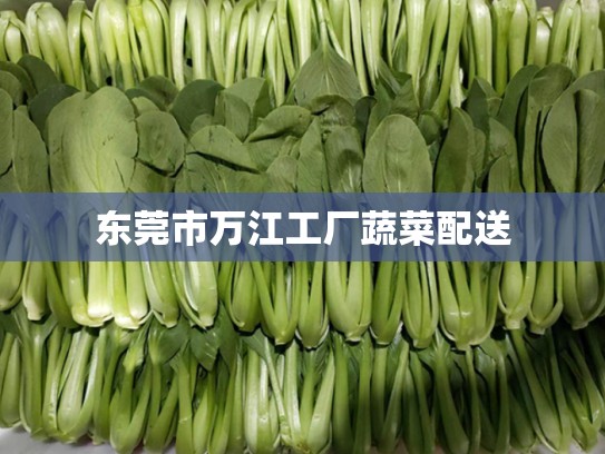 市万江工厂蔬菜配送